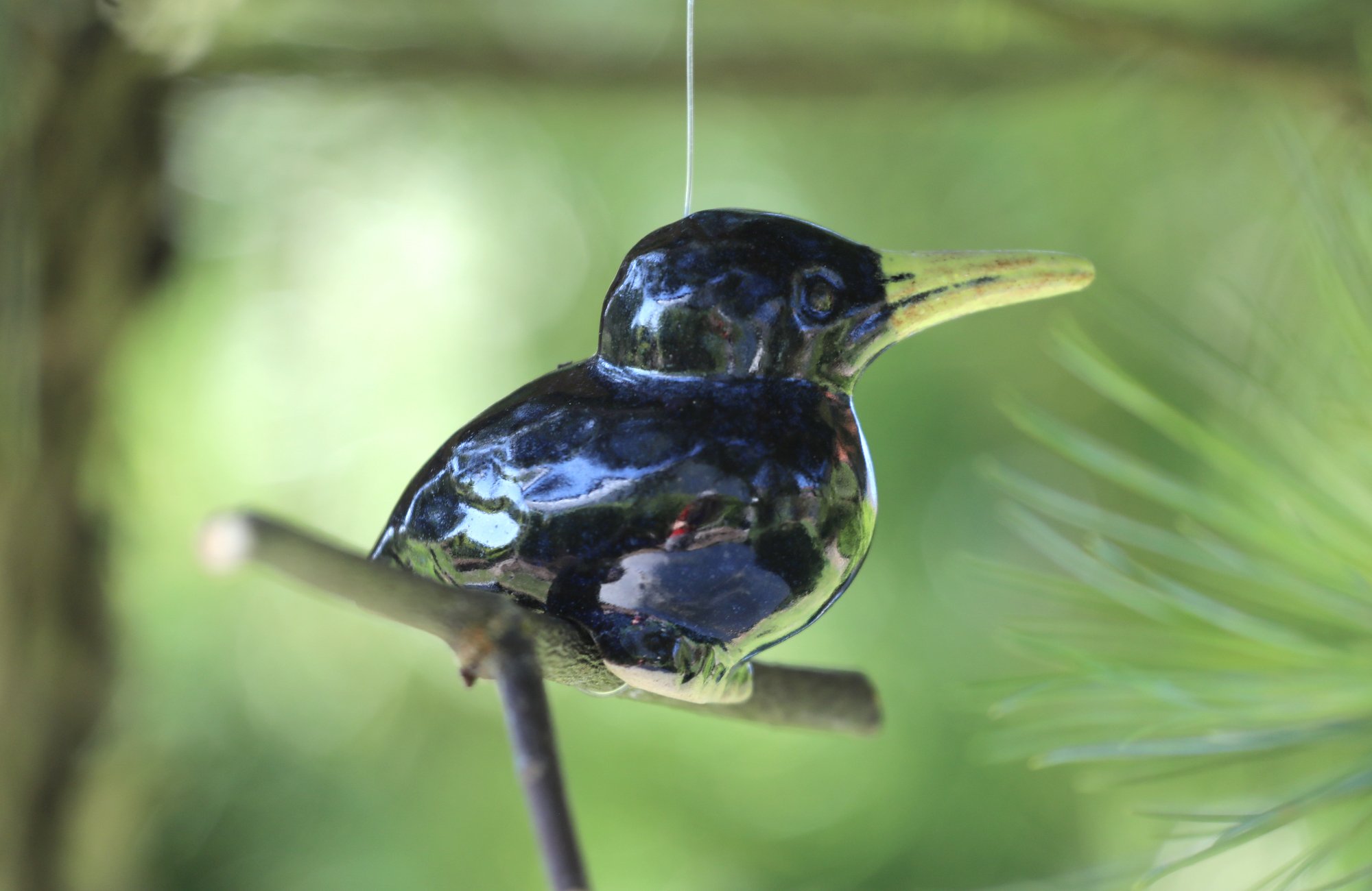 Eisvogel (einzel) – Bild 4