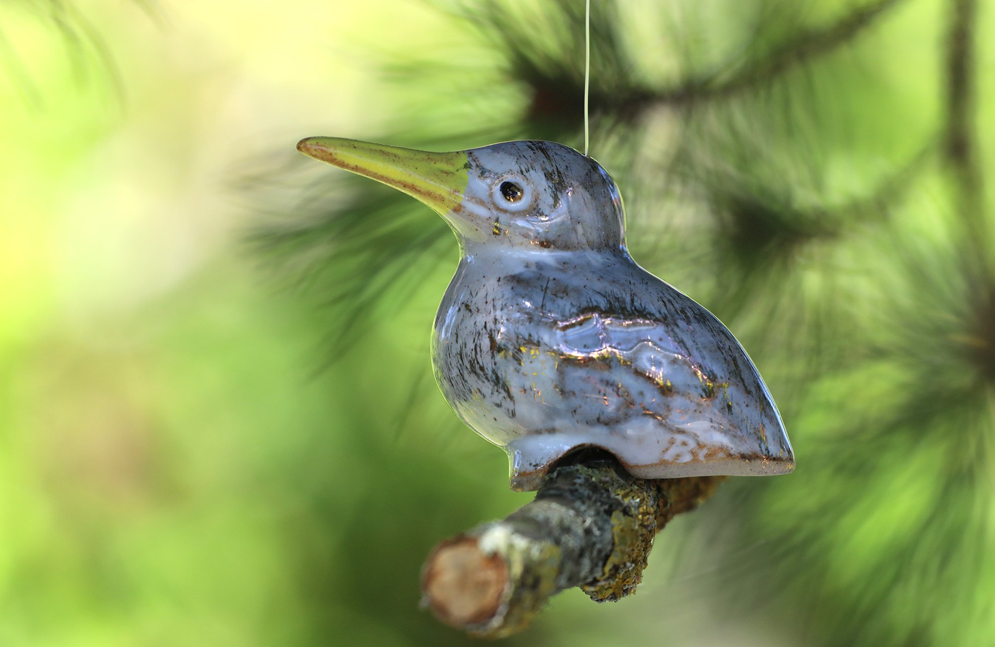 Eisvogel (einzel) – Bild 5