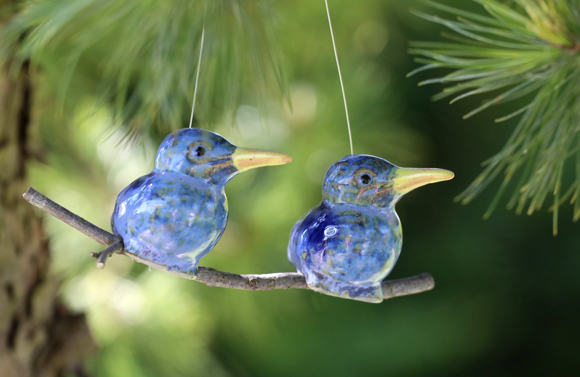 Eisvogel (doppelt) – Bild 3