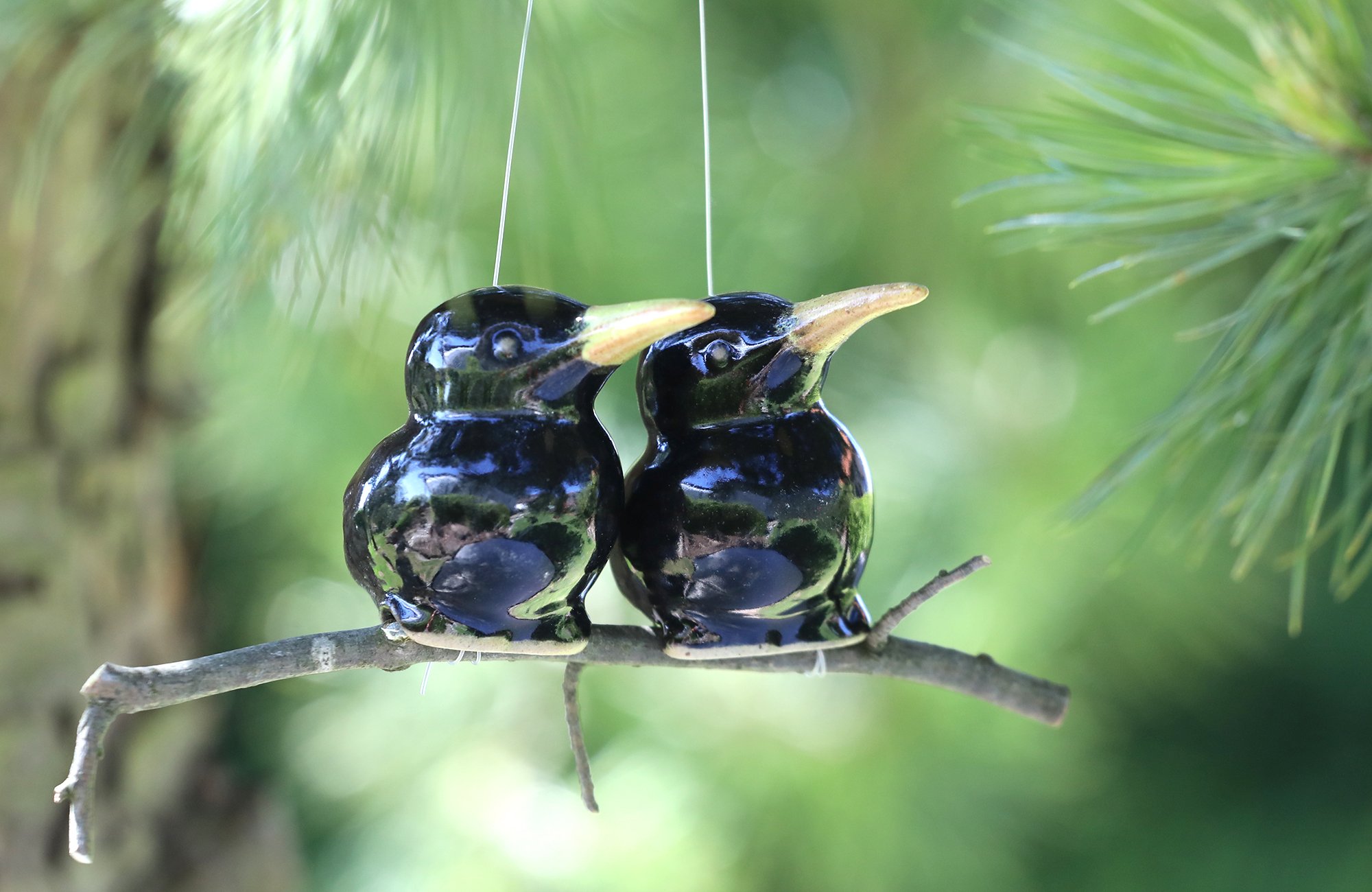 Eisvogel (doppelt) – Bild 4