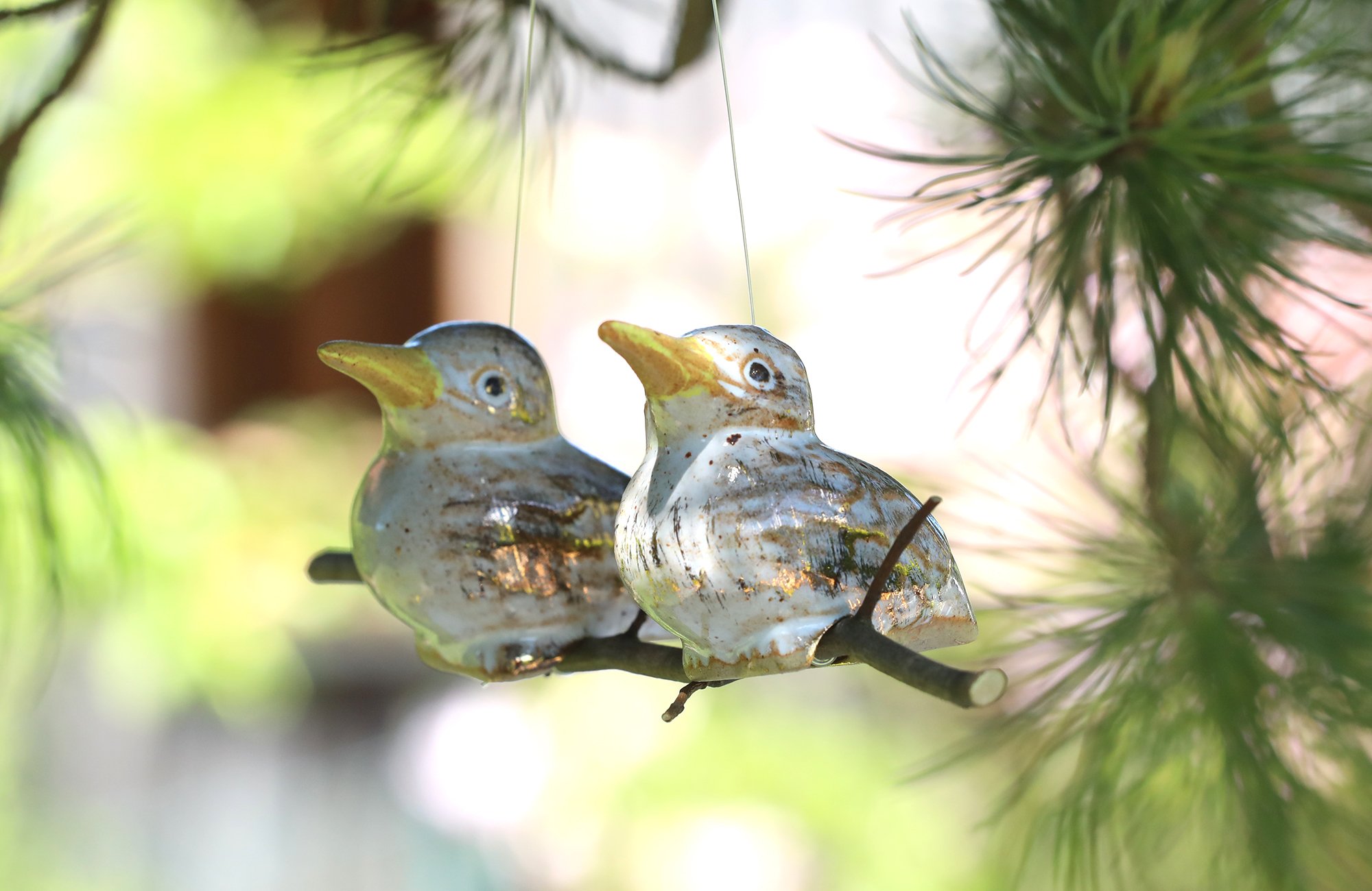 Eisvogel (doppelt) – Bild 5