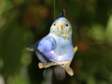 Haubenmeise (klein,einzel)