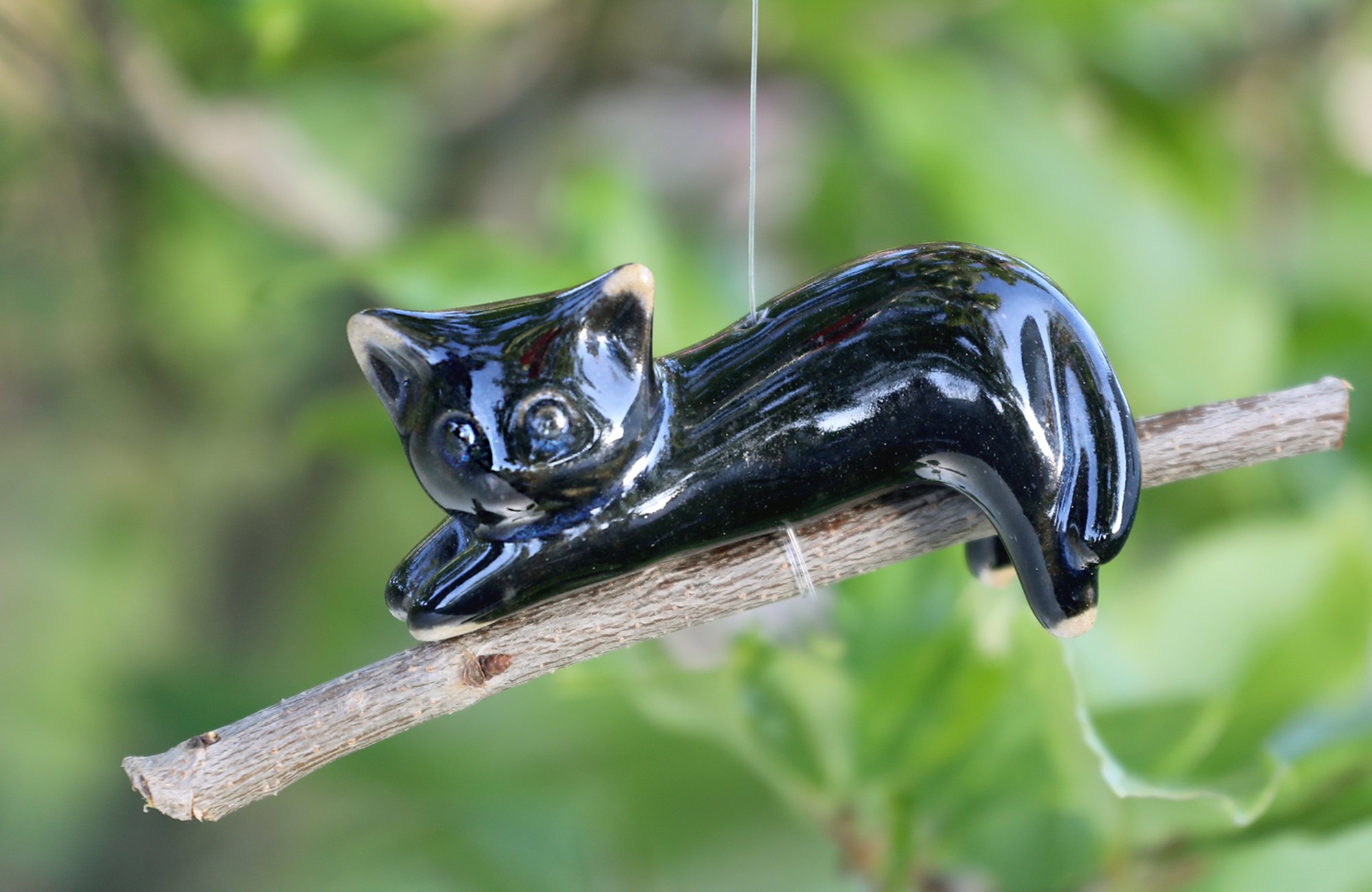 Katze auf Ast – Bild 3