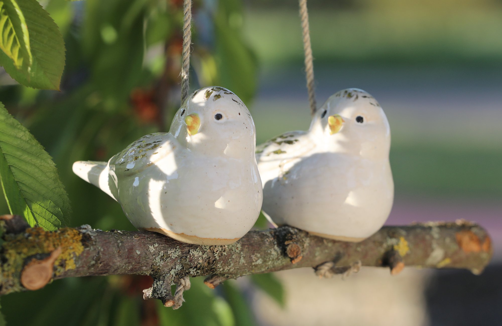 Meise (groß, doppelt) – Bild 4