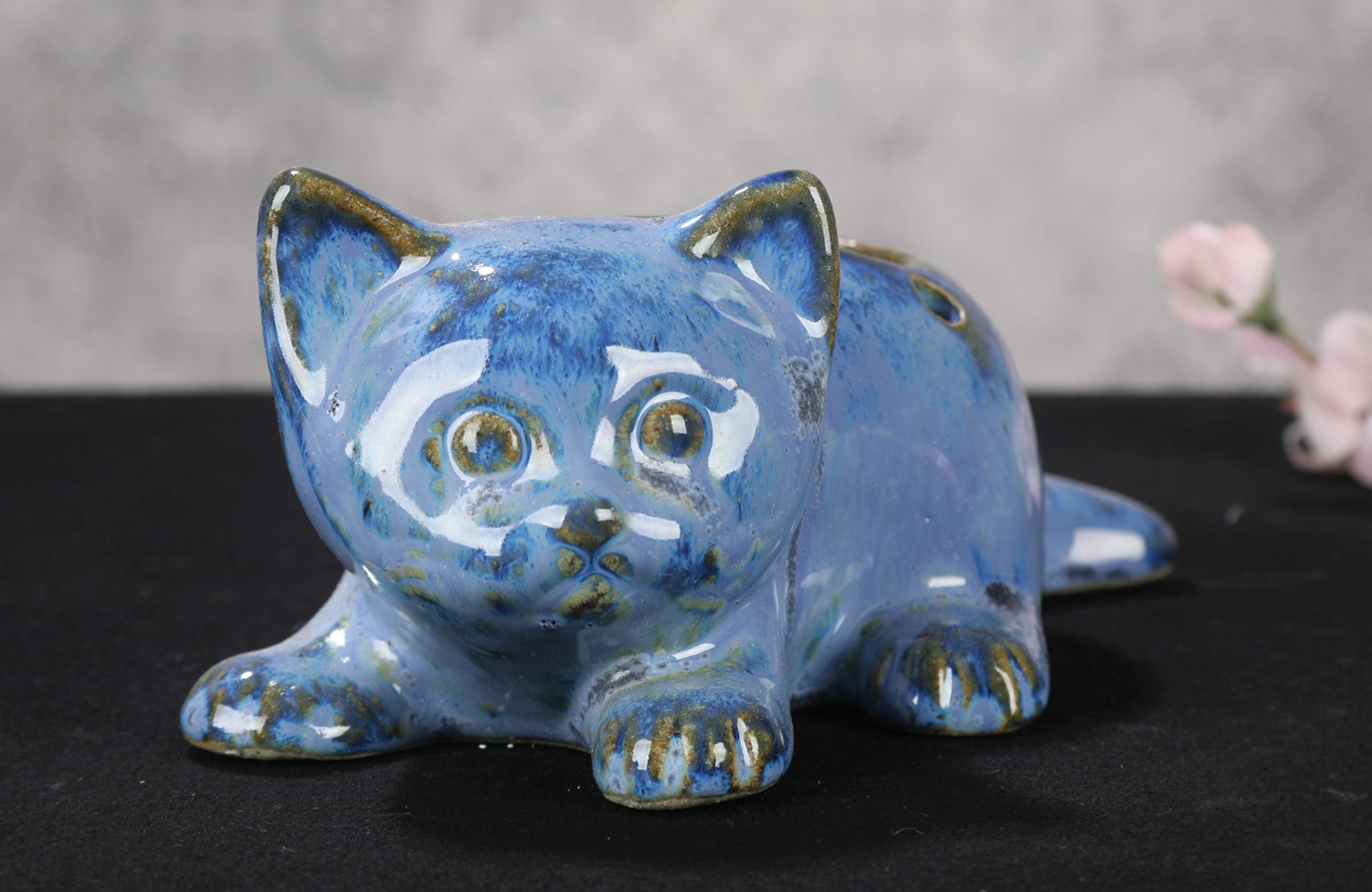 Heizungskatze wach – Bild 3