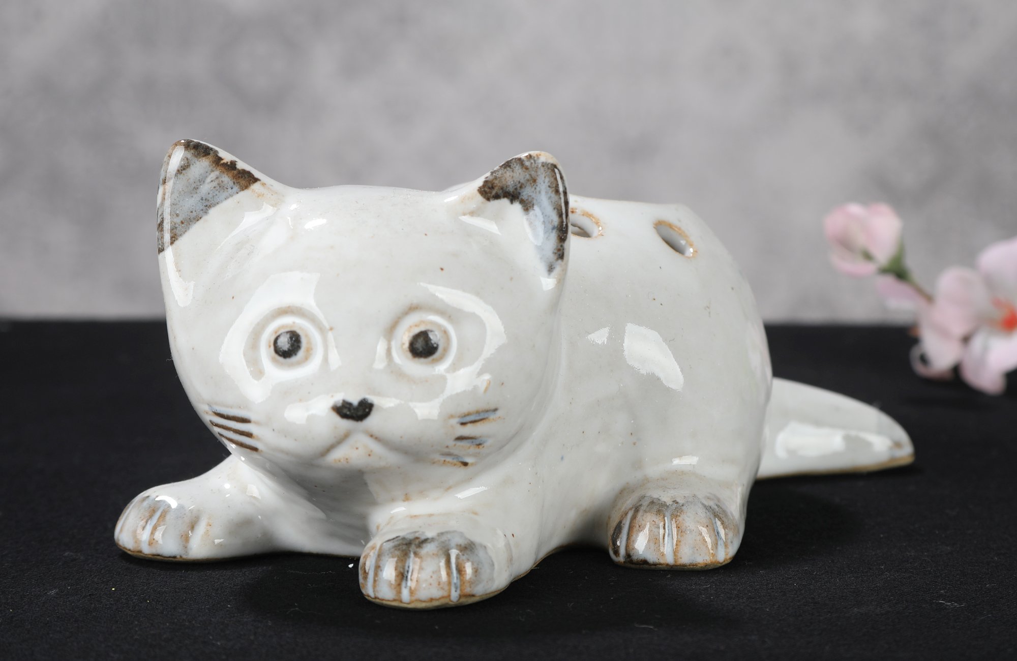 Heizungskatze wach – Bild 7