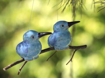 Eisvogel (doppelt)
