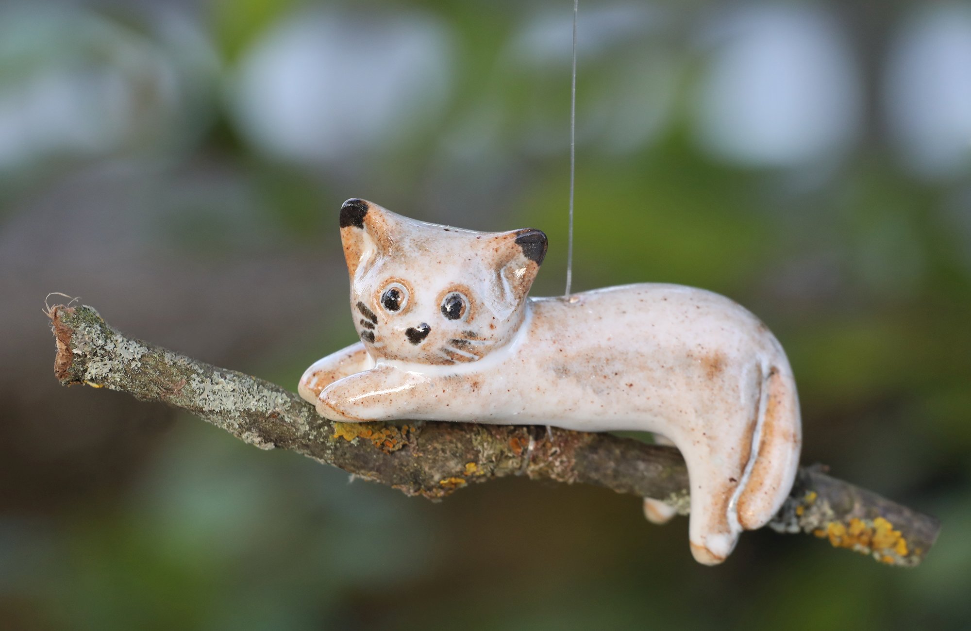 Katze auf Ast – Bild 2